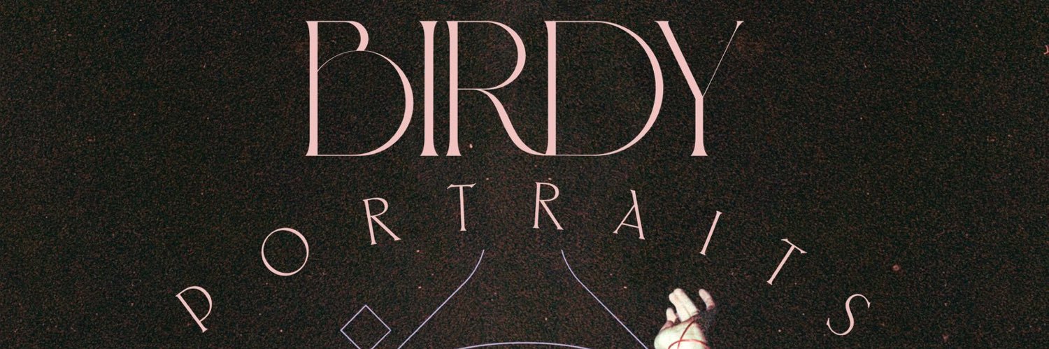 BirdyBR's profile banner image