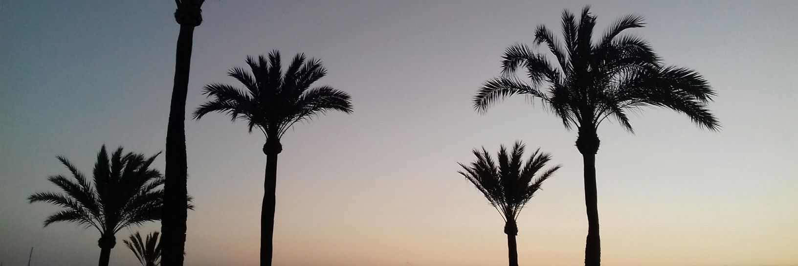 KaddyInFarbe_'s profile banner image
