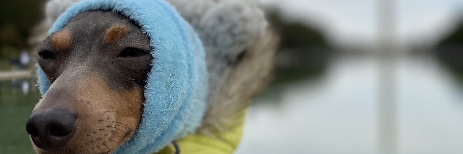 Fxlty's profile banner image