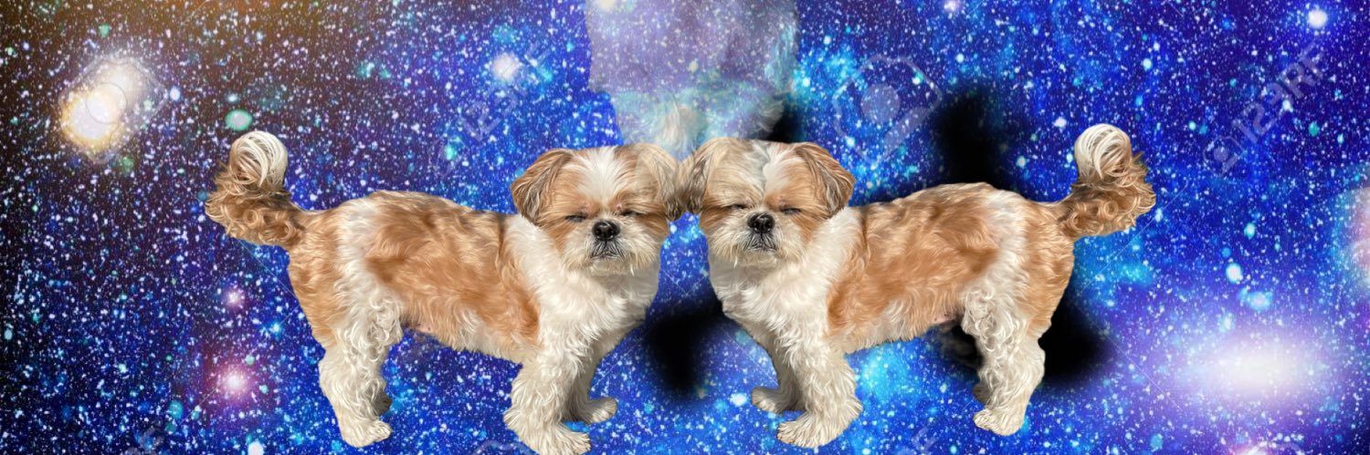 nnn___kkk's profile banner image