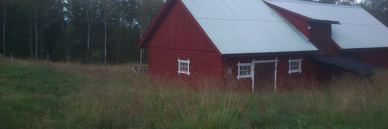 En annan Björn banner