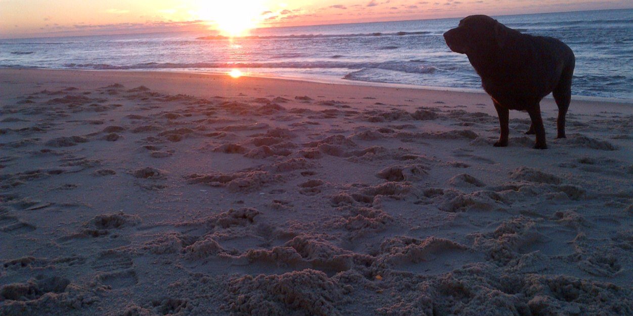 jdanhoff43's profile banner image