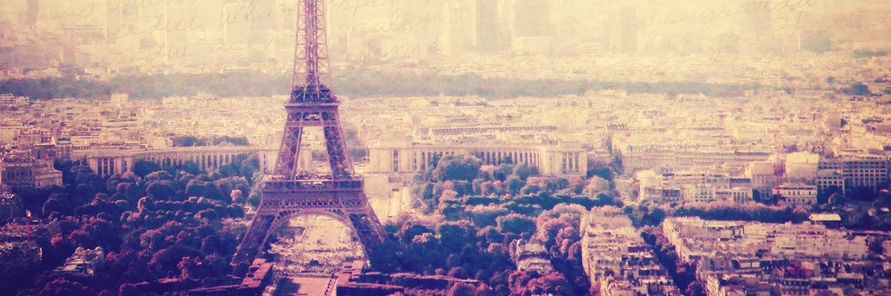 foreverfroufrou's profile banner image