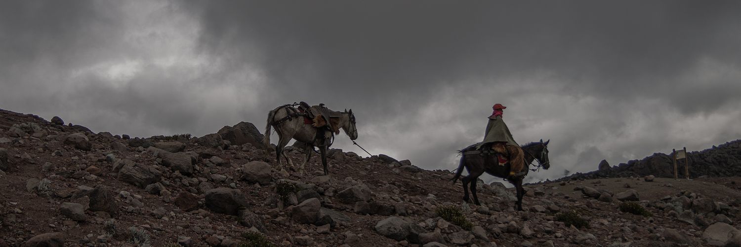 Yeiko_JDV's profile banner image