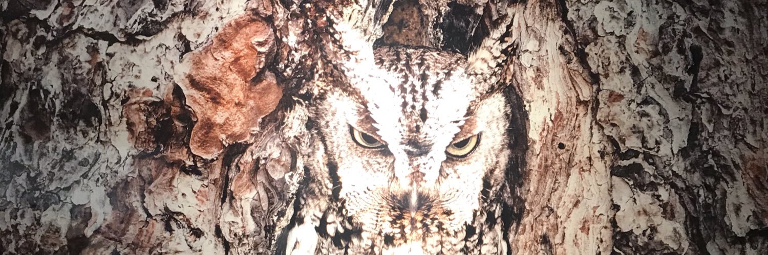 BarbaraRussellJ's profile banner image