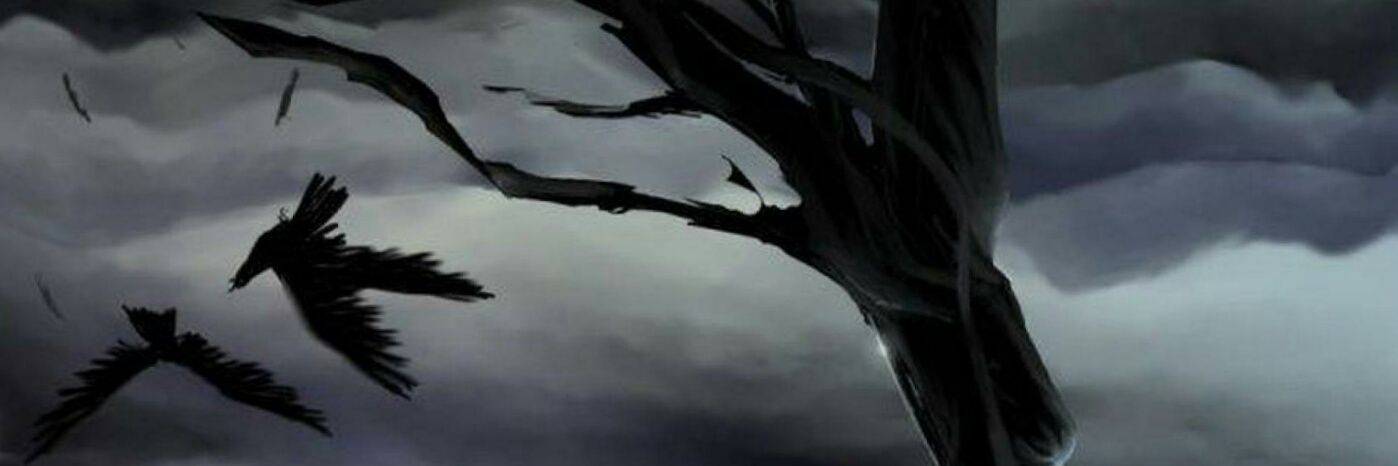 68Cly29's profile banner image
