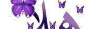 son77ds's profile banner image