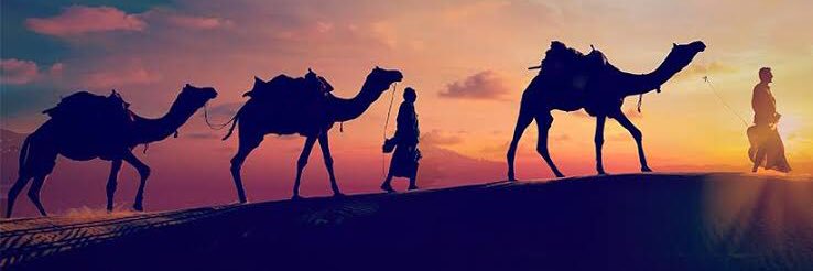 bjoping's profile banner image