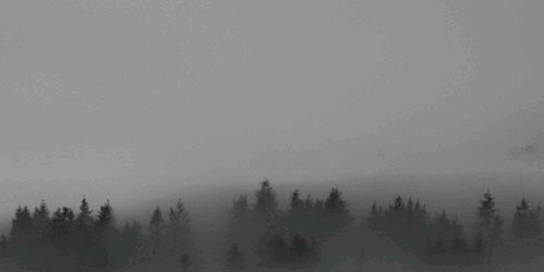 goosehunps's profile banner image