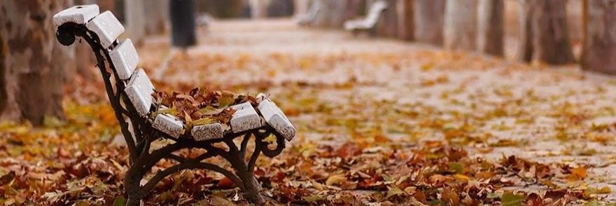 swetizen's profile banner image