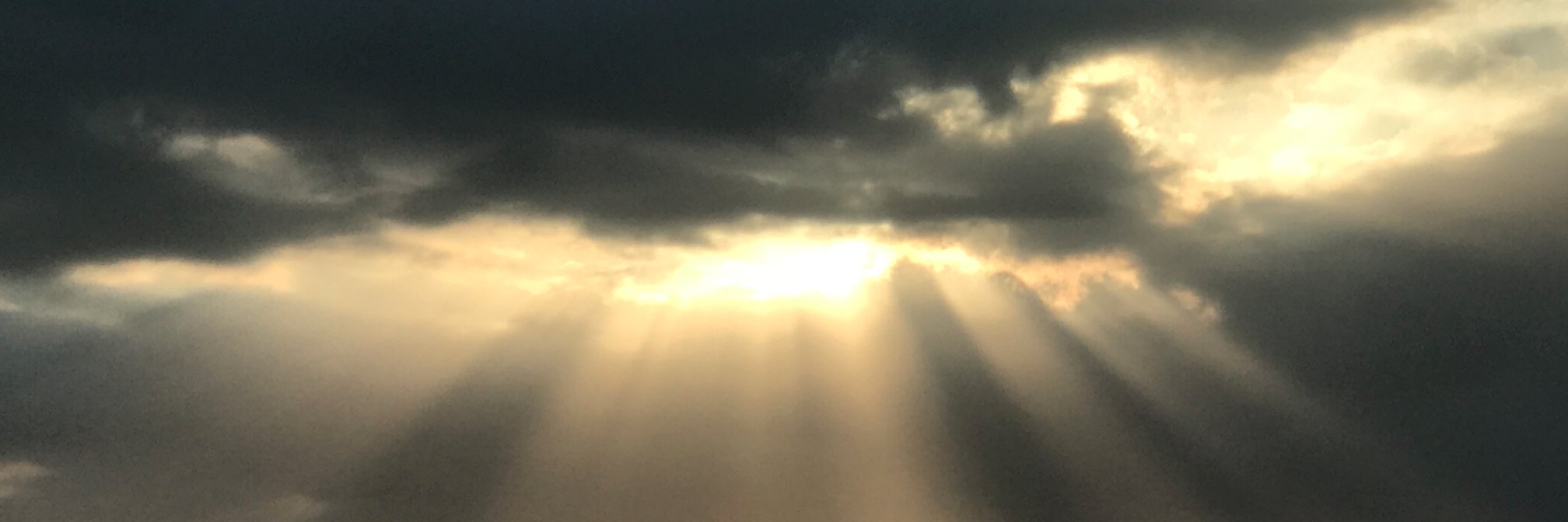 tafboswell's profile banner image