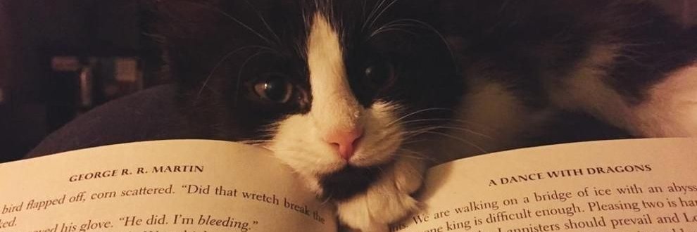 MeganCats0's profile banner image