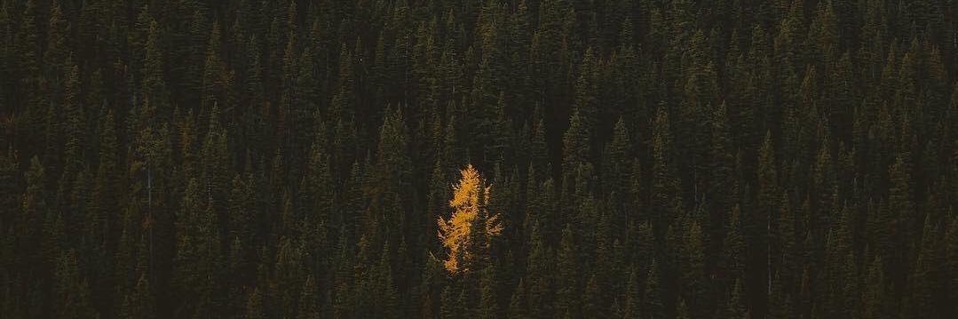 angry_beef's profile banner image