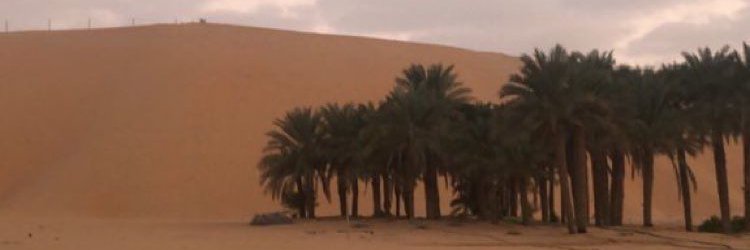 maithahe's profile banner image