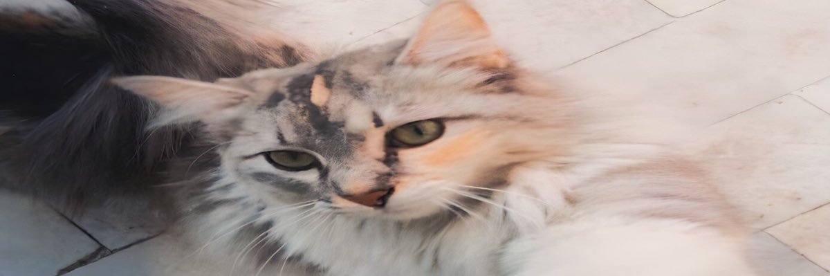 vilanuova's profile banner image
