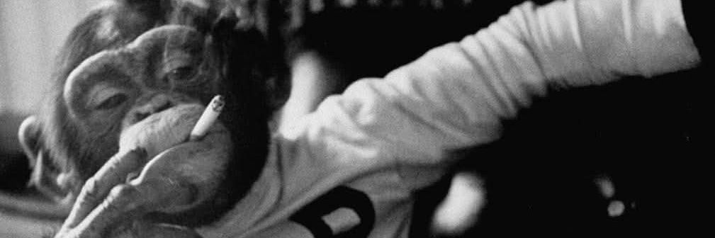 DHaffey_'s profile banner image