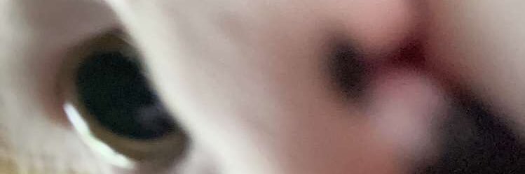 Irish_Fuck's profile banner image