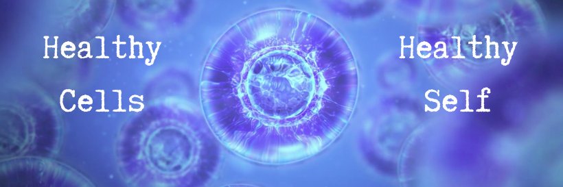 HealthySignals's profile banner image