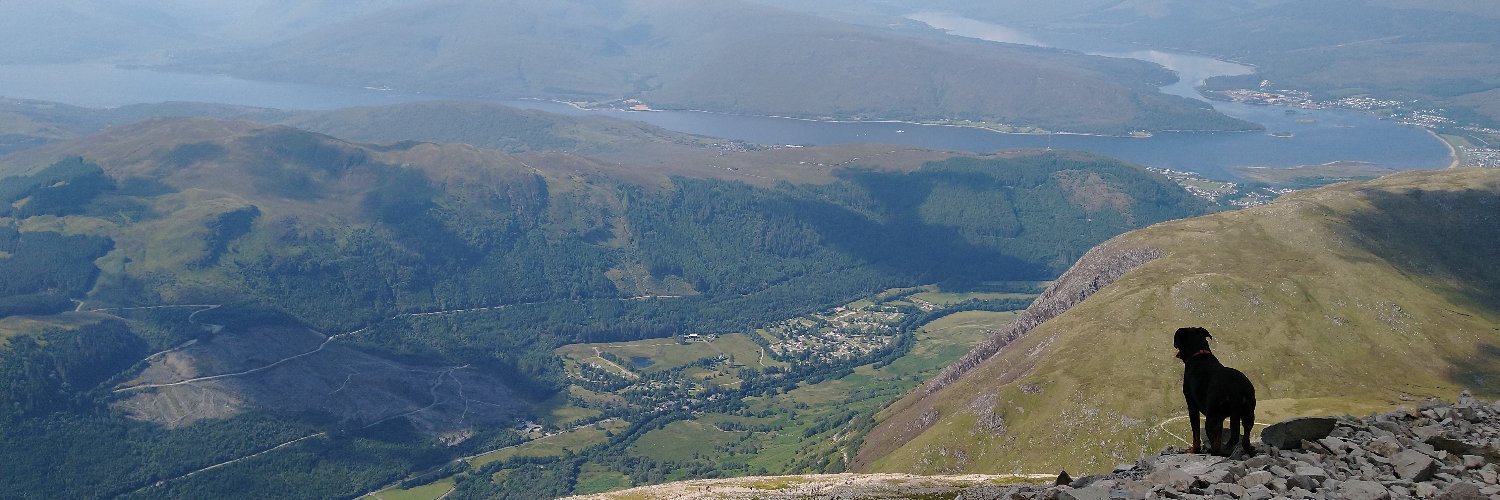 AllyBulloch's profile banner image
