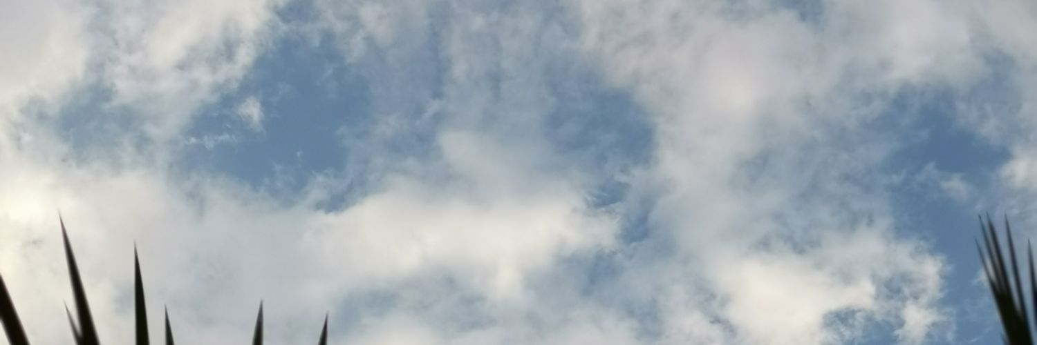 ReemReemt's profile banner image