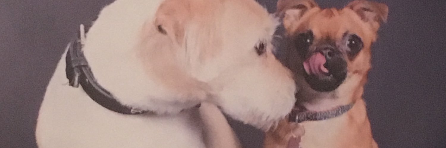 Matt75life's profile banner image