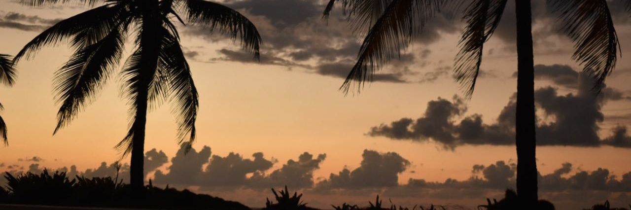 Chrismrdz's profile banner image