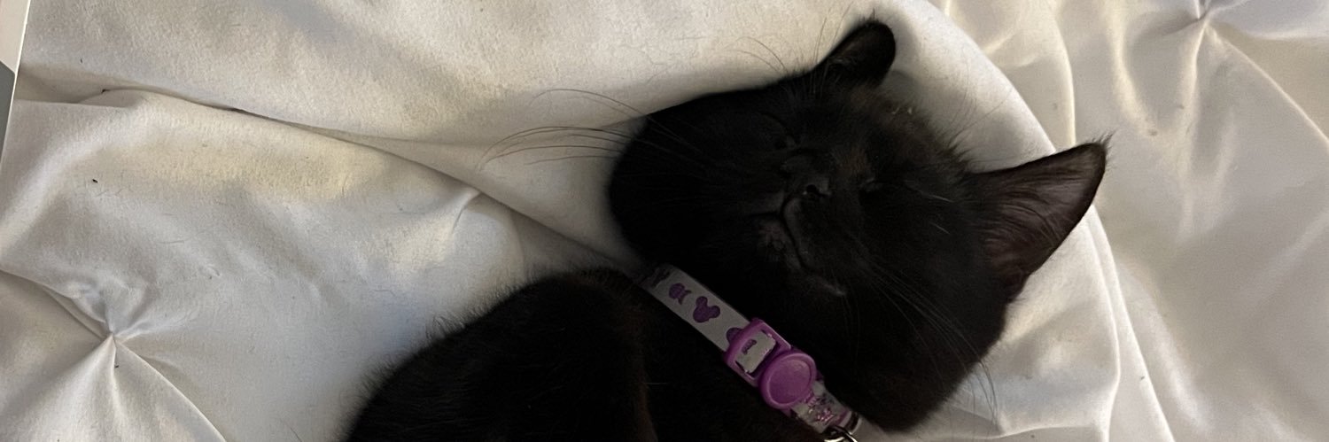 elyssacruzz's profile banner image
