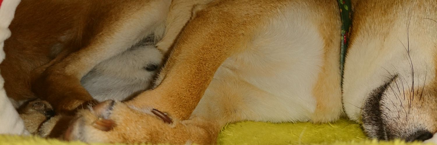 guy_usu's profile banner image