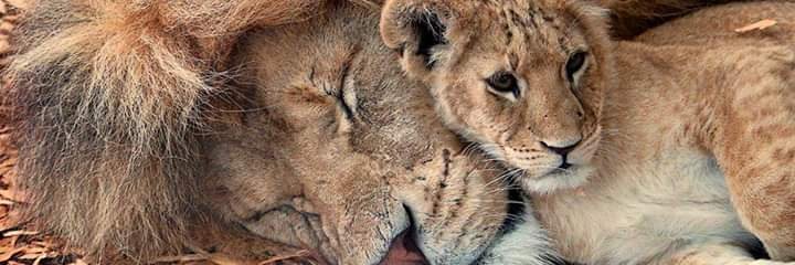 jors0610's profile banner image