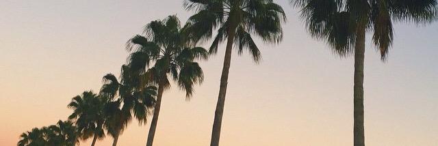 summerwise_'s profile banner image