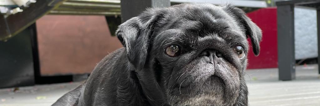 rechalk1's profile banner image