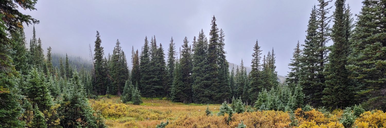 JakeChandler's profile banner image