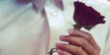 nojk5's profile banner image