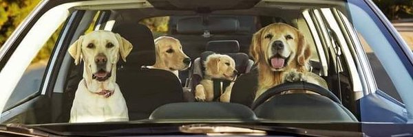 IntoTheShitter Profile Banner