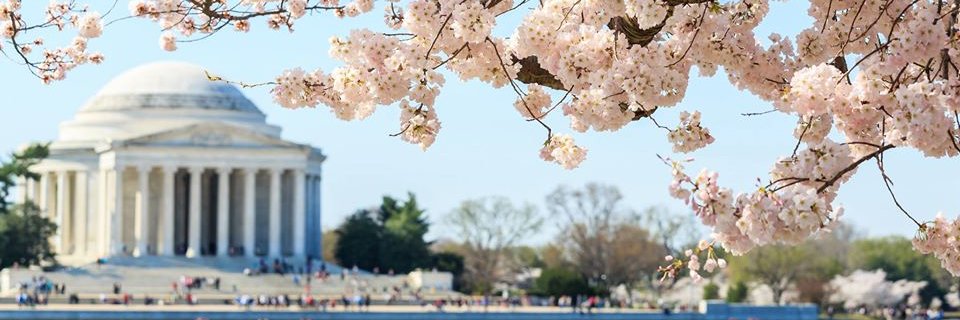 EHLSProgram's profile banner image