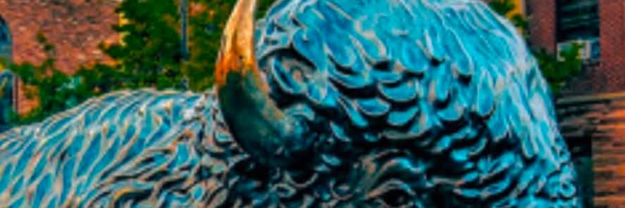 connorbartonmtg's profile banner image