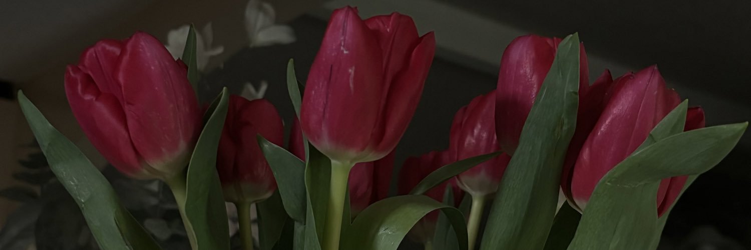 brendanlomeli's profile banner image