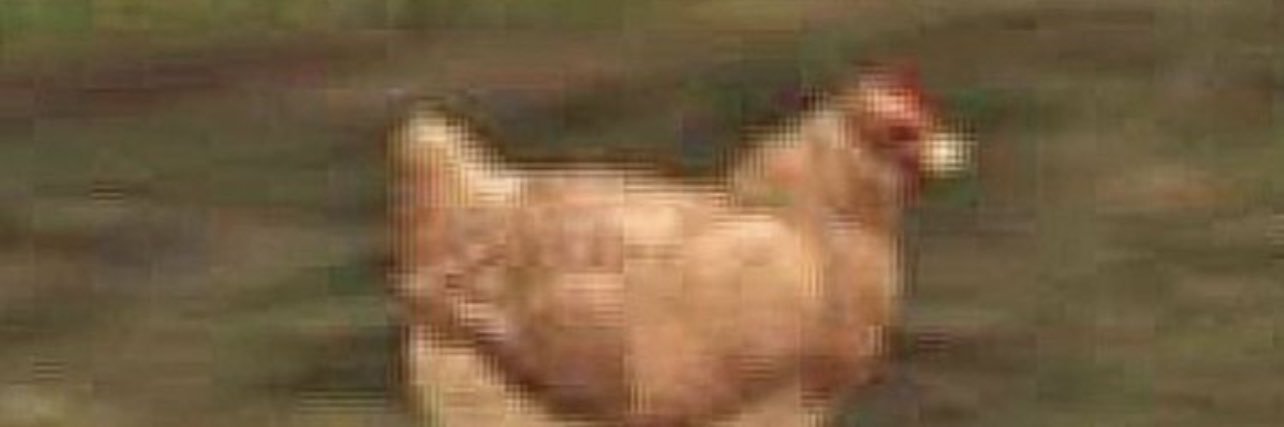 lolzaubs's profile banner image