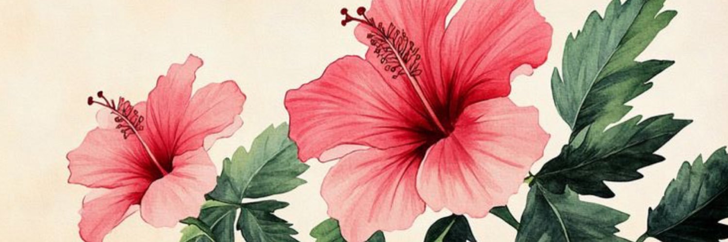 ecburroughs's profile banner image