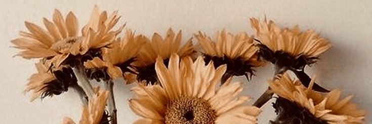 nandaarizqi's profile banner image