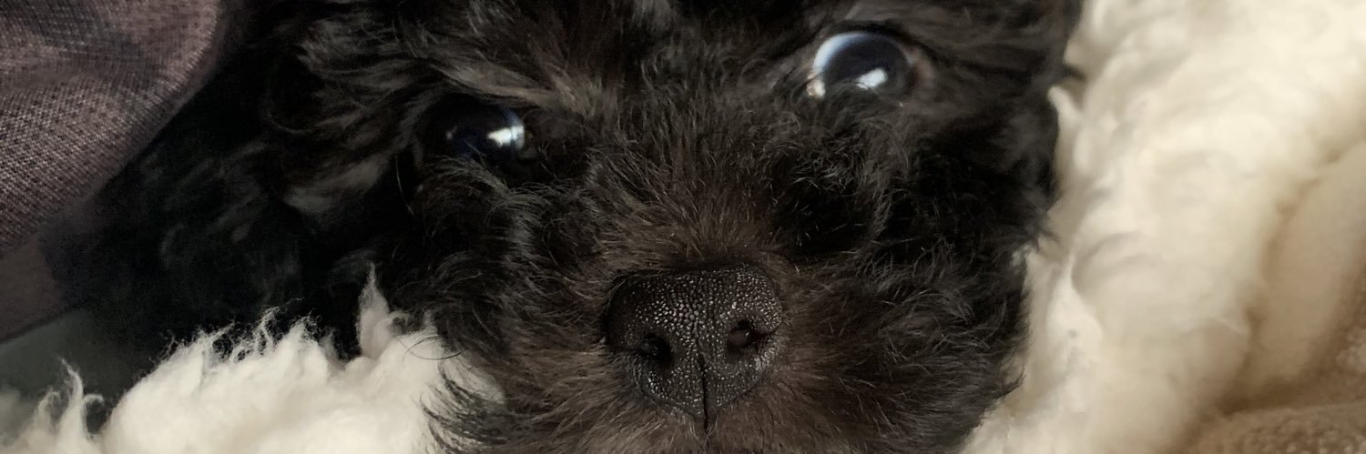 juugnarnia's profile banner image
