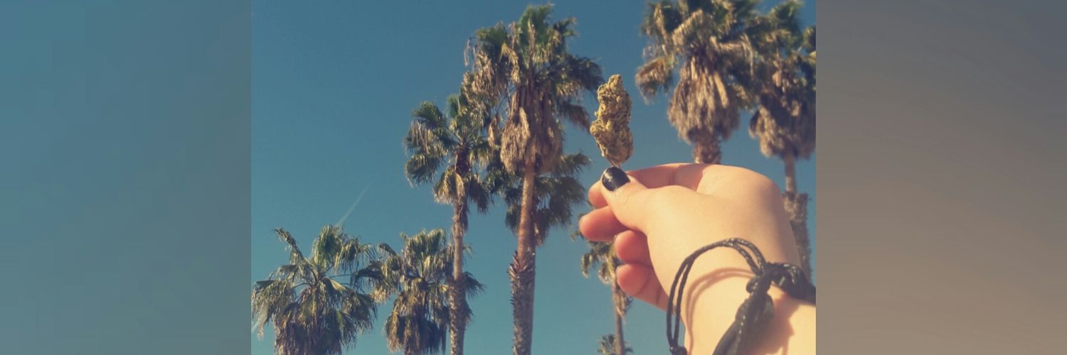 barinobeefdip2's profile banner image