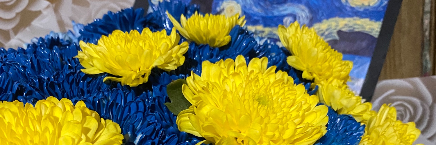 MYallil's profile banner image