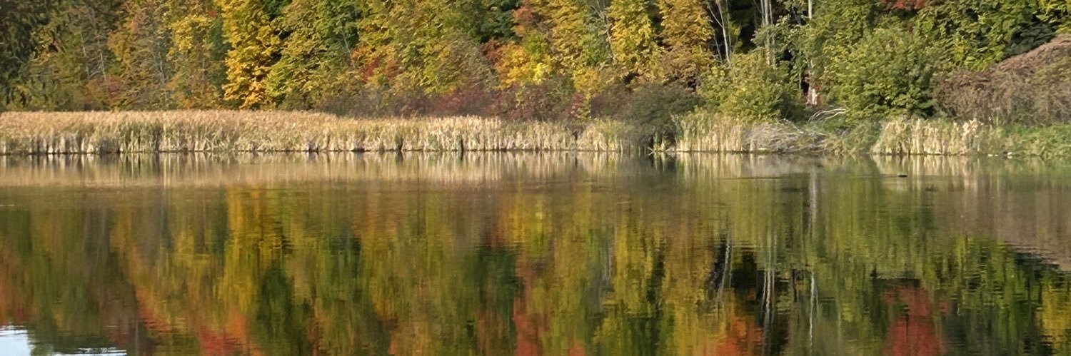 Mike Paquette banner
