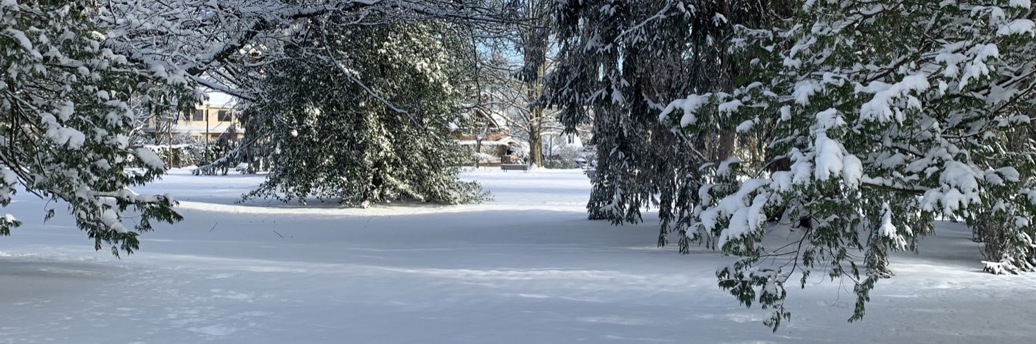 juliamiskovic's profile banner image
