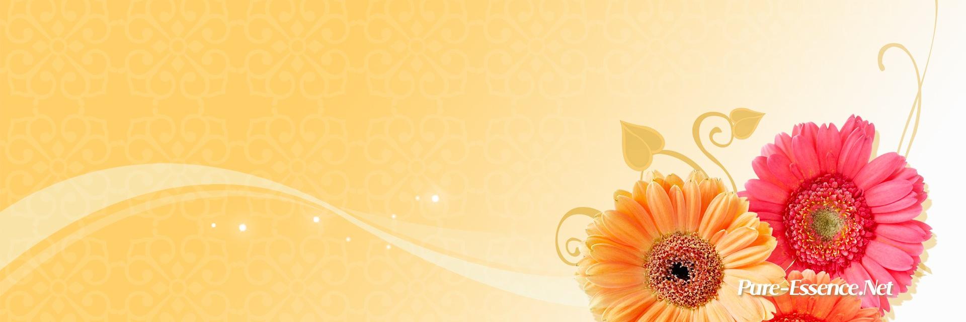 GoraneSagar's profile banner image