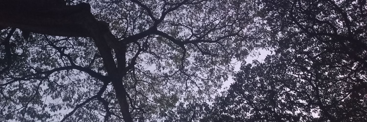 JuliethLucumi's profile banner image