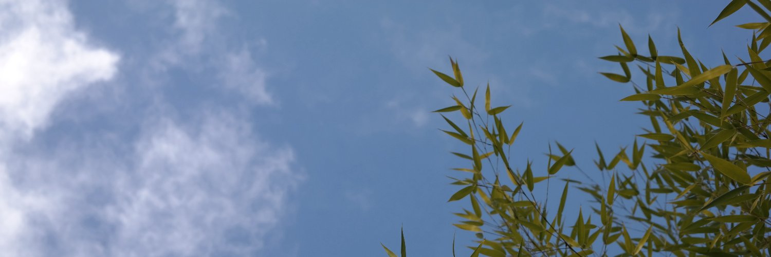 ElGryphon99's profile banner image