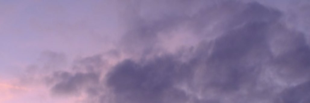 nataliezayed_'s profile banner image