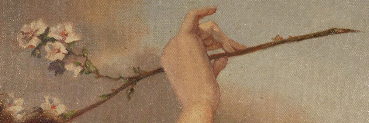 morapardo_'s profile banner image